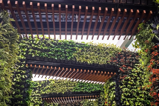 Pergola-trellis